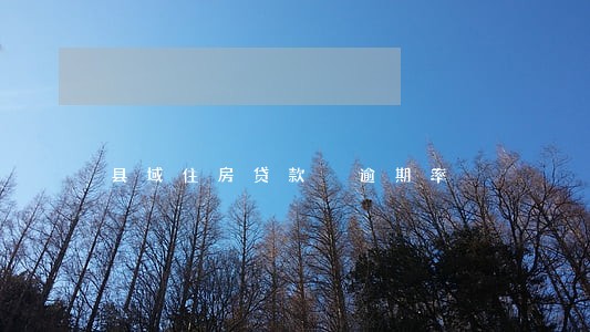 县域住房贷款 逾期率 县域住房贷款 逾期率
